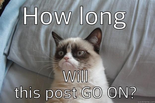 HOW LONG WILL THIS POST GO ON? Grumpy Cat