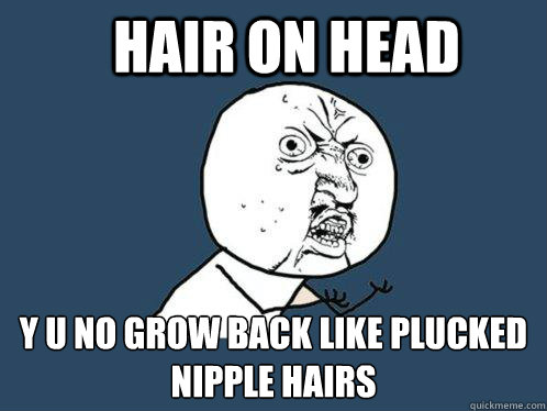 Hair on head y u no grow back like plucked nipple hairs  Y U No