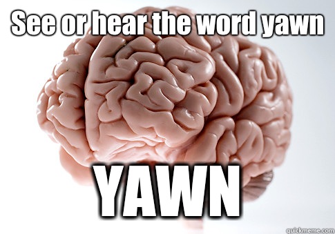 See or hear the word yawn  YAWN   Scumbag Brain