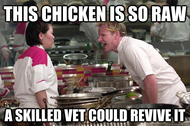 THIS CHICKEN IS SO RAW A SKILLED VET COULD REVIVE IT - THIS CHICKEN IS SO RAW A SKILLED VET COULD REVIVE IT  Misc