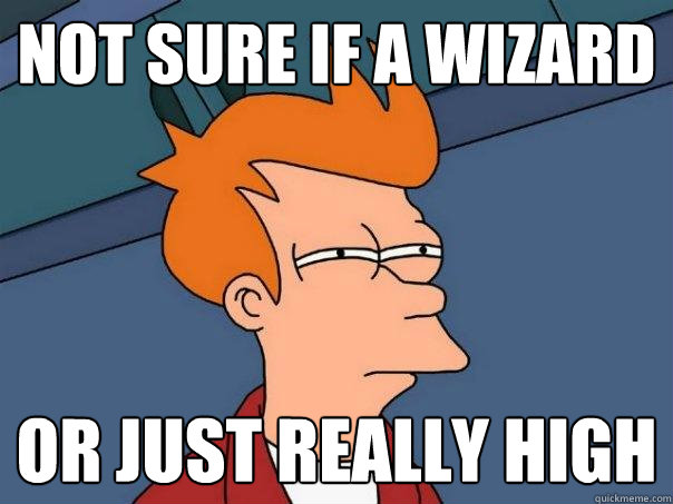 Not sure if a wizard Or just really high  Futurama Fry