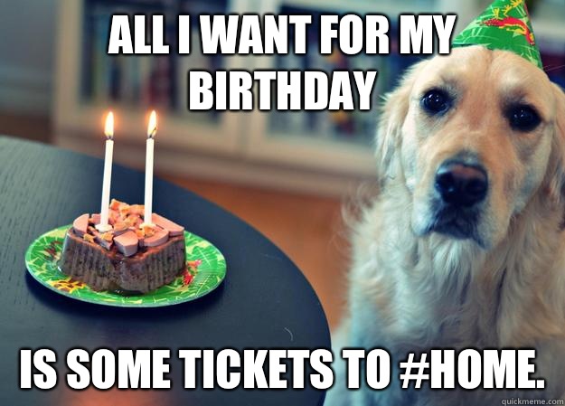 All I want for my birthday Is some tickets to #HOME.  Sad Birthday Dog