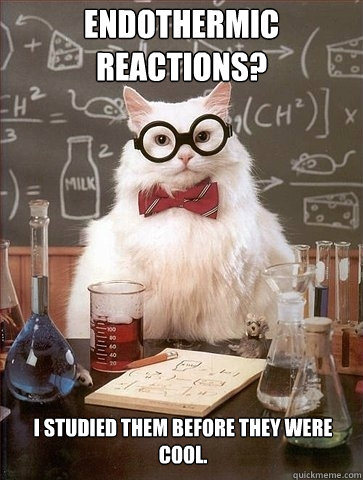 Endothermic Reactions? I studied them before they were cool. - Endothermic Reactions? I studied them before they were cool.  Chemistry Cat