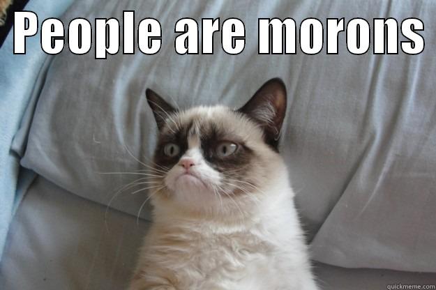  PEOPLE ARE MORONS   Grumpy Cat