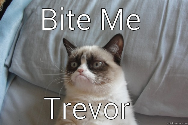 BITE ME TREVOR  Grumpy Cat