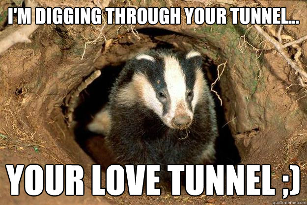 I'M DIGGING THROUGH YOUR TUNNEL... YOUR LOVE TUNNEL ;)  Sexual innuendo Badger