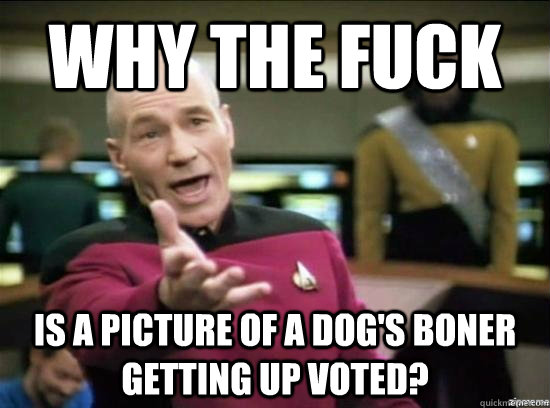 Why the fuck is a picture of a dog's boner getting up voted?  Annoyed Picard HD