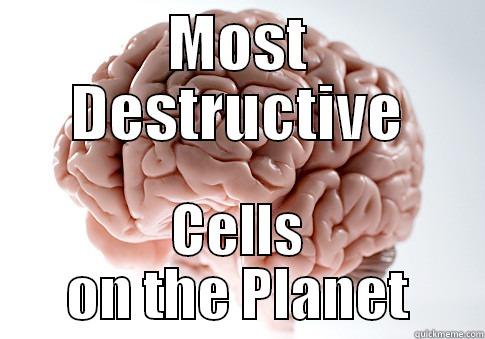 MOST DESTRUCTIVE CELLS ON THE PLANET Scumbag Brain