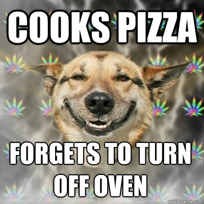 cooks pizza Forgets to turn off oven  Stoner Dog