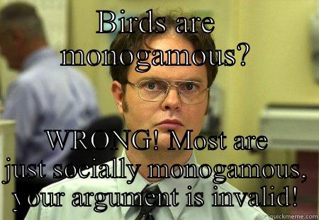 BIRDS ARE MONOGAMOUS? WRONG! MOST ARE JUST SOCIALLY MONOGAMOUS, YOUR ARGUMENT IS INVALID! Schrute