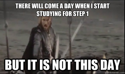 There will come a day when I start studying for Step 1 But it is not this day - There will come a day when I start studying for Step 1 But it is not this day  Aragorn at the Black Gate