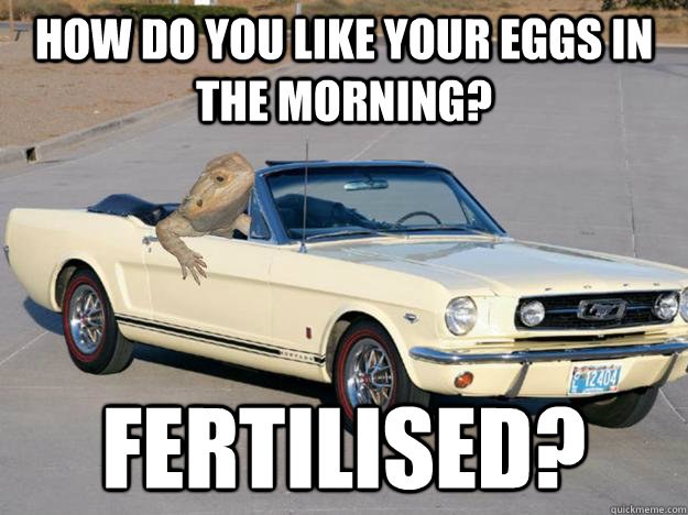 How do you like your eggs in the morning? Fertilised? - How do you like your eggs in the morning? Fertilised?  Pickup Dragon