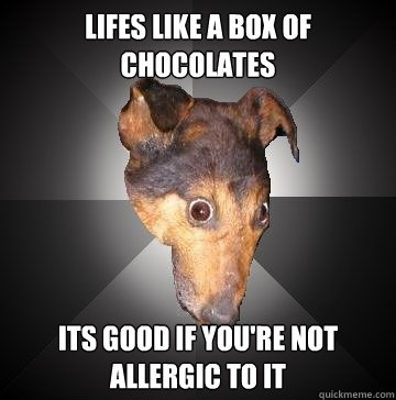 LIFES LIKE A BOX OF CHOCOLATES ITS GOOD IF YOU'RE NOT ALLERGIC TO IT  Depression Dog