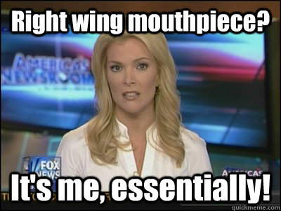 Right wing mouthpiece? It's me, essentially!  Megyn Kelly