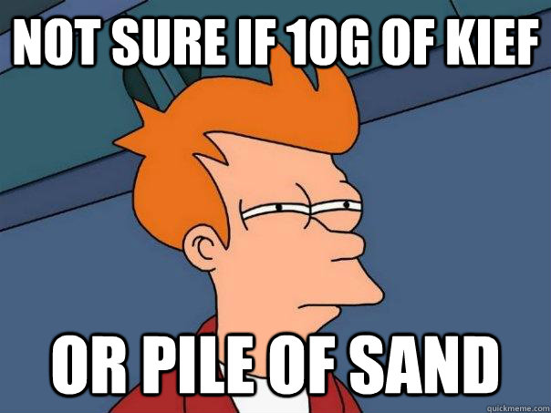 Not sure if 10g of kief or pile of sand  Futurama Fry