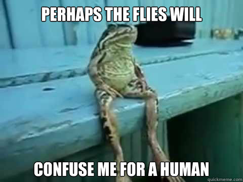 Perhaps the flies will confuse me for a human  SITTING FROG