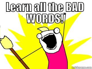 LEARN ALL THE BAD WORDS!  All The Things