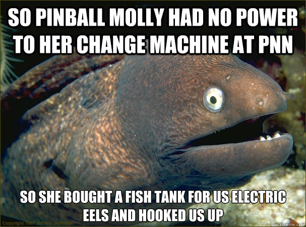 so pinball molly had no power to her change machine at Pnn so she bought a fish tank for us electric eels and hooked us up  Bad Joke Eel