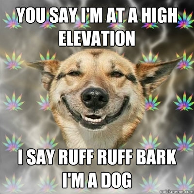 You say I'm at a high elevation I say ruff ruff bark i'm a dog - You say I'm at a high elevation I say ruff ruff bark i'm a dog  Stoner Dog