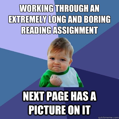 working through an extremely long and boring reading assignment next page has a picture on it  Success Kid