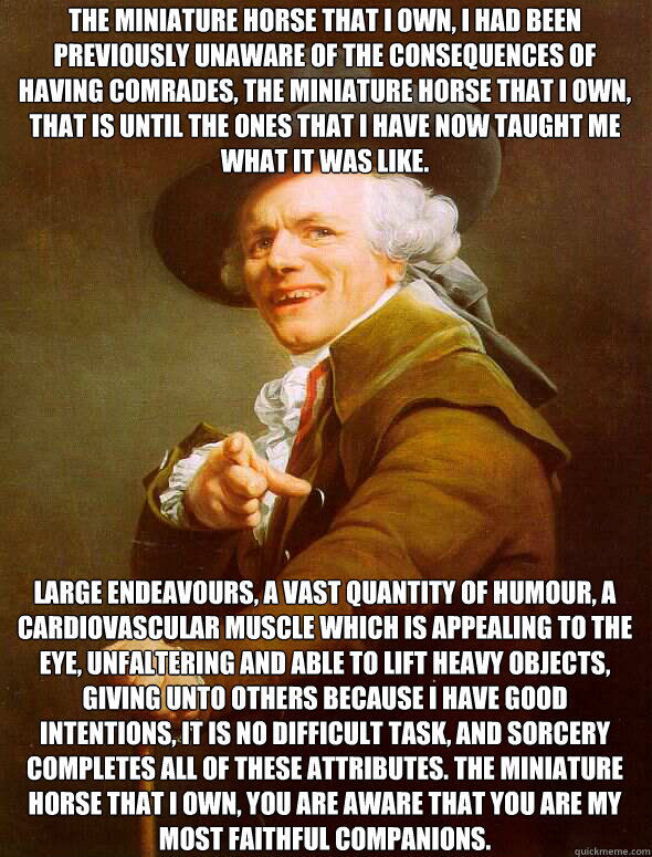 THE MINIATURE HORSE THAT I OWN, I HAD BEEN PREVIOUSLY UNAWARE OF THE CONSEQUENCES OF HAVING COMRADES, THE MINIATURE HORSE THAT I OWN, THAT IS UNTIL THE ONES THAT I HAVE NOW TAUGHT ME WHAT IT WAS LIKE. LARGE ENDEAVOURS, A VAST QUANTITY OF HUMOUR, A CARDIOV  Joseph Ducreux