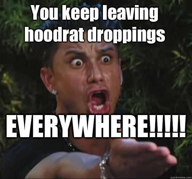 You keep leaving hoodrat droppings  EVERYWHERE!!!!!   Pauly D