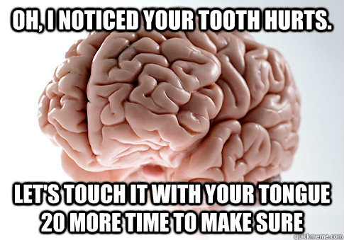 oh, i noticed your tooth hurts. let's touch it with your tongue 20 more time to make sure   - oh, i noticed your tooth hurts. let's touch it with your tongue 20 more time to make sure    Scumbag Brain