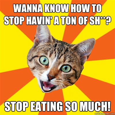 Wanna know how to stop havin' a ton of sh**? Stop eating so much!  Bad Advice Cat