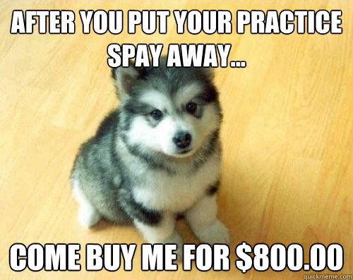 After you put your practice spay away... come buy me for $800.00  Baby Courage Wolf