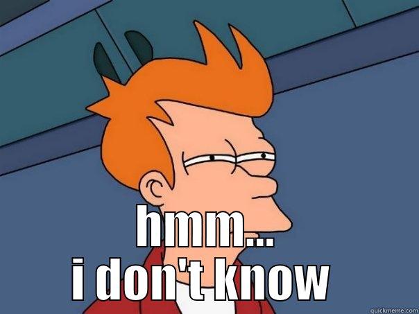 i don't know  -  HMM... I DON'T KNOW  Futurama Fry