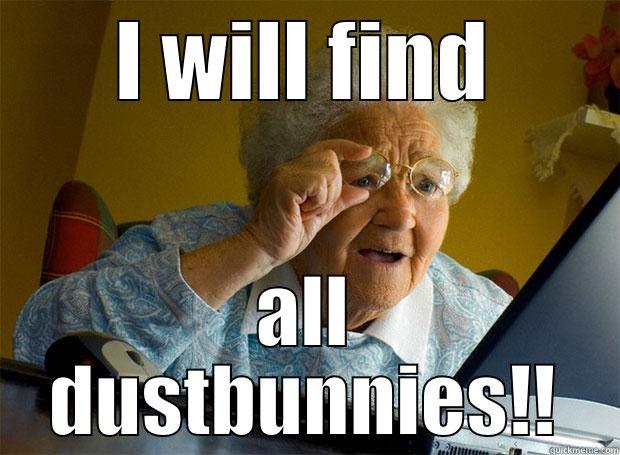 I WILL FIND ALL DUSTBUNNIES!! Grandma finds the Internet