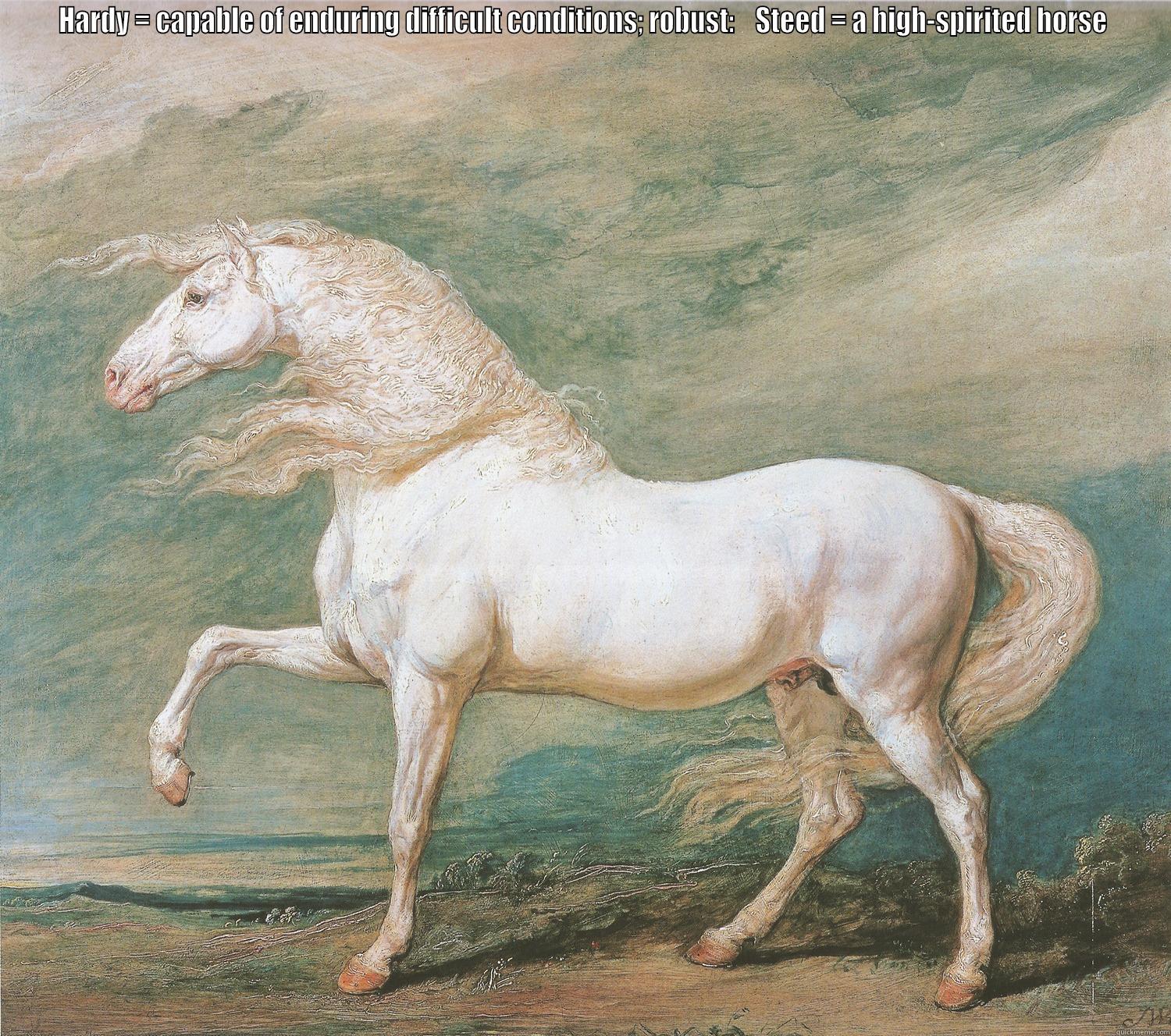 HARDY = CAPABLE OF ENDURING DIFFICULT CONDITIONS; ROBUST:    STEED = A HIGH-SPIRITED HORSE   Misc