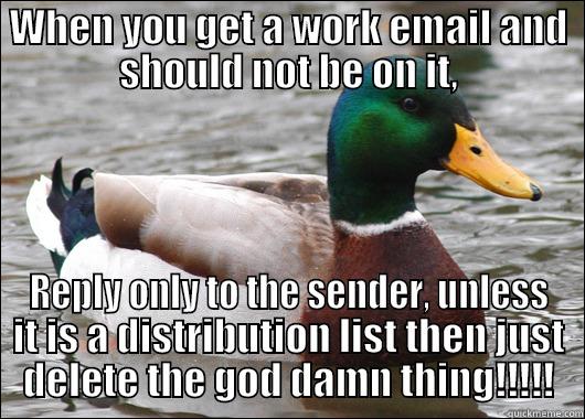 WHEN YOU GET A WORK EMAIL AND SHOULD NOT BE ON IT, REPLY ONLY TO THE SENDER, UNLESS IT IS A DISTRIBUTION LIST THEN JUST DELETE THE GOD DAMN THING!!!!! Actual Advice Mallard