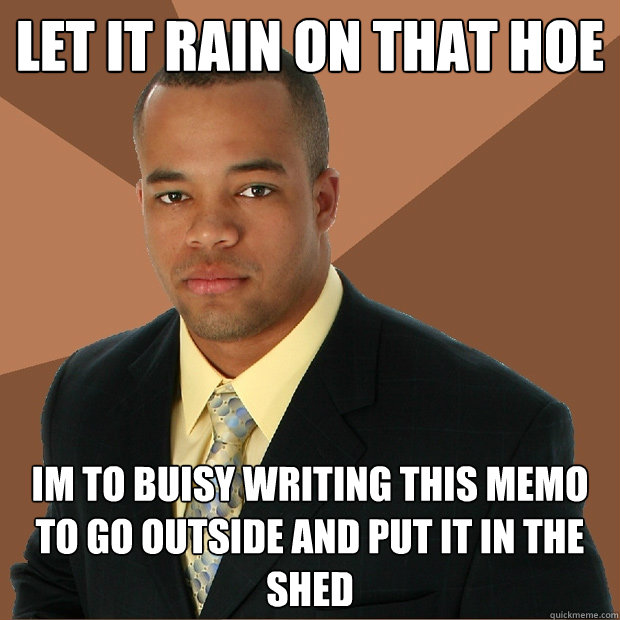 let it rain on that hoe im to buisy writing this memo to go outside and put it in the shed  Successful Black Man