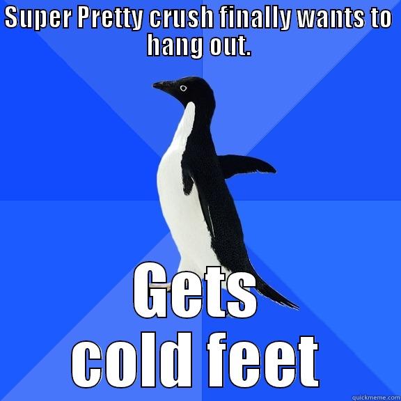 SUPER PRETTY CRUSH FINALLY WANTS TO HANG OUT. GETS COLD FEET Socially Awkward Penguin