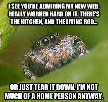 I see you're admiring my new web. really worked hard on it. there's the kitchen, and the living roo... or just tear it down. i'm not much of a home person anyway.  Misunderstood Spider