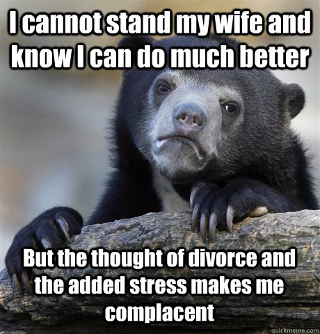 I cannot stand my wife and know I can do much better But the thought of divorce and the added stress makes me complacent - I cannot stand my wife and know I can do much better But the thought of divorce and the added stress makes me complacent  Confession Bear