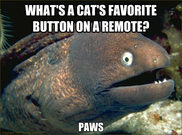 what's a cat's favorite button on a remote? paws  Bad Joke Eel