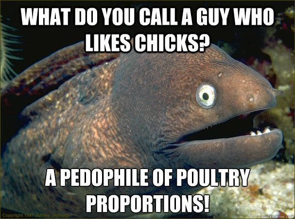 What do you call a guy who likes chicks? A pedophile of poultry proportions!  Bad Joke Eel