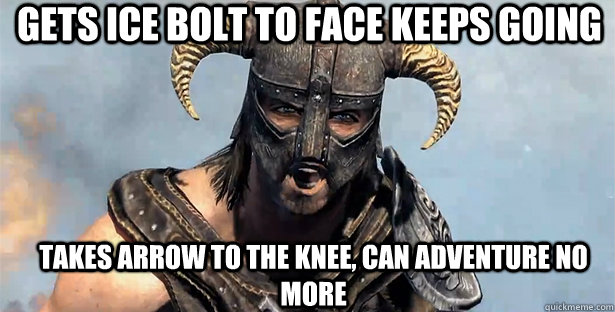 Gets ice bolt to face keeps going takes arrow to the knee, can adventure no more  skyrim