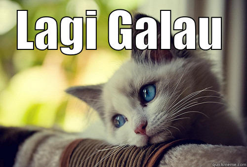 Lagi Galau - LAGI GALAU  First World Problems Cat