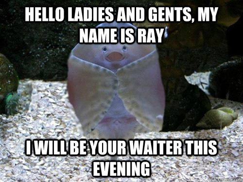 Hello ladies and gents, my name is ray I will be your waiter this evening  friendly stingray