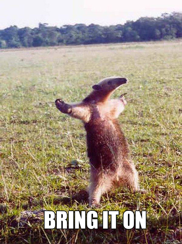  Bring it on -  Bring it on  Bad Anteater