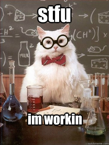 stfu im workin - stfu im workin  Chemistry Cat