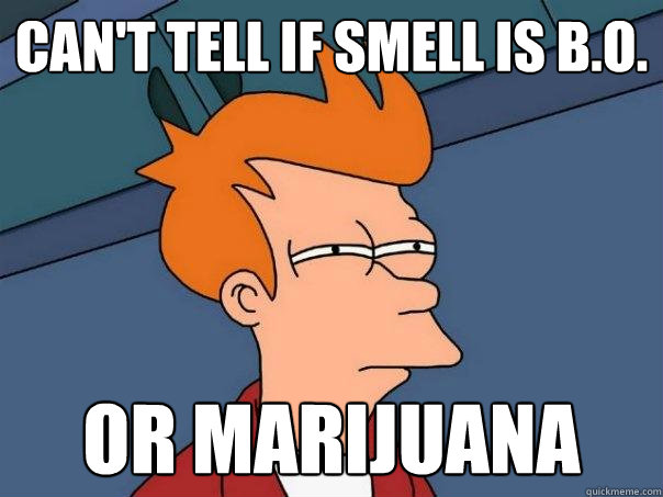 Can't tell if smell is B.O. or marijuana - Can't tell if smell is B.O. or marijuana  Futurama Fry