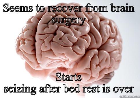 SEEMS TO RECOVER FROM BRAIN SURGERY STARTS SEIZING AFTER BED REST IS OVER Scumbag Brain