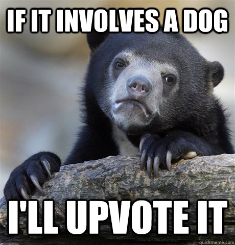 If it involves a dog I'll upvote it  Confession Bear