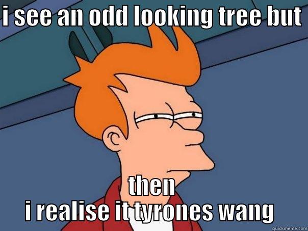 I SEE AN ODD LOOKING TREE BUT  THEN I REALISE IT TYRONES WANG  Futurama Fry