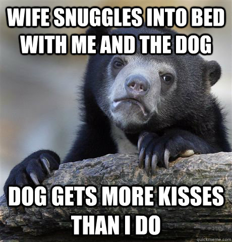 Wife snuggles into bed with me and the dog dog gets more kisses than i do - Wife snuggles into bed with me and the dog dog gets more kisses than i do  Confession Bear