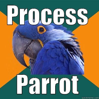 PROCESS PARROT Paranoid Parrot